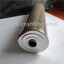 Filtre de cel·lulosa de la planta d'energia DZ903EA10V / -W